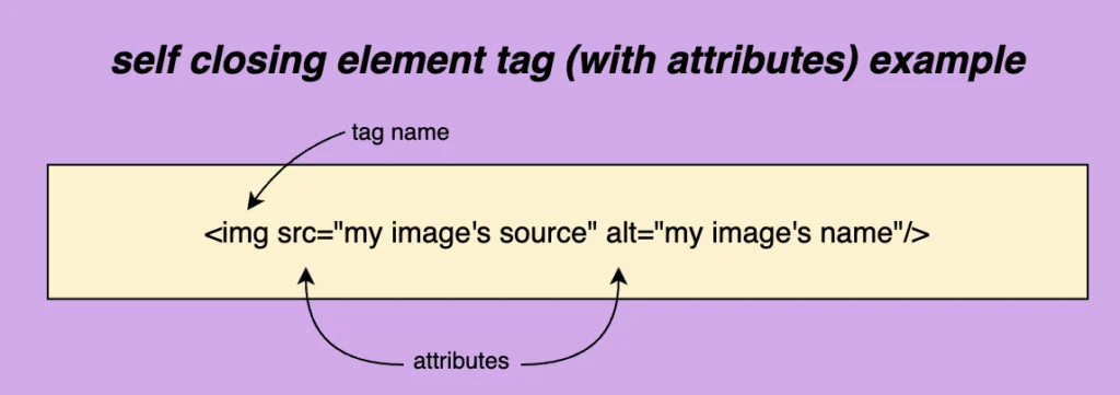 HTML elements. This is an image showing an example of a self closing tag with attributes.